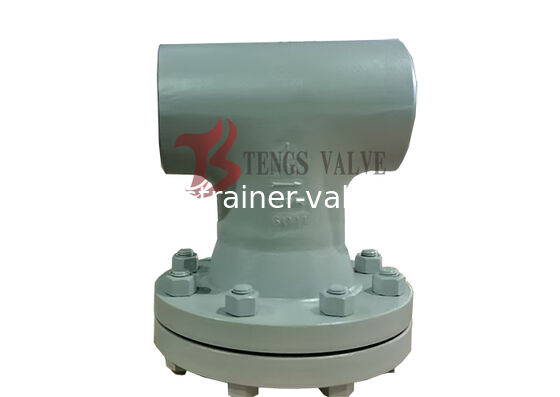 A234 WPB Tee Strainer, Carbon Steel BW Ends T Type Strainers, WN Flange 150LB Filter